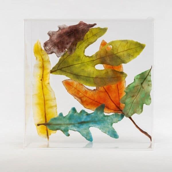 image of original art by Dori Settles, Forest Floor, glass leaves captured in an acrylic box